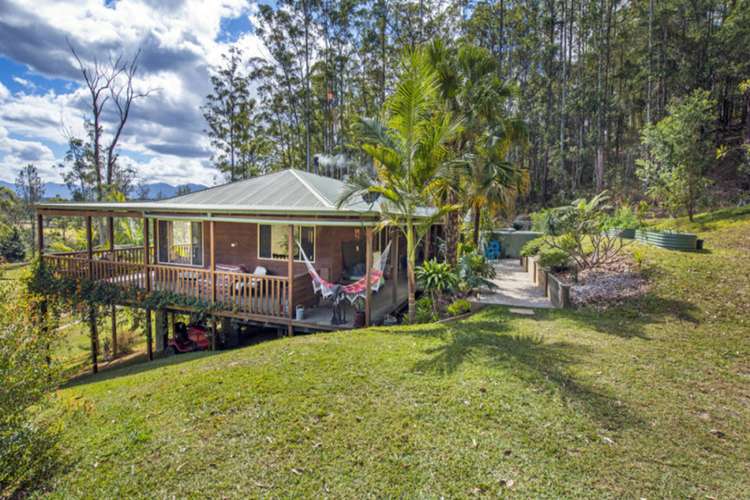 Main view of Homely horticulture listing, 209 maydwell Street, Fernmount NSW 2454