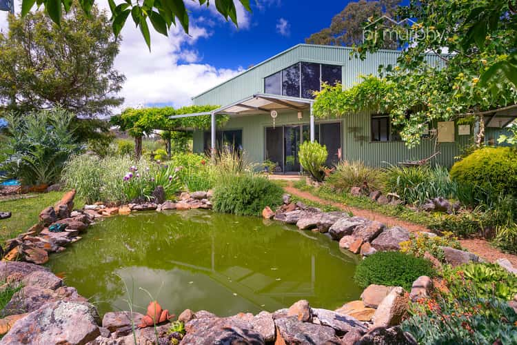 2555 Myrtleford Road, Yackandandah VIC 3749