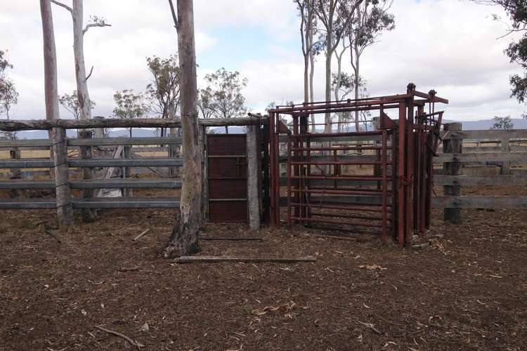 Sixth view of Homely livestock listing, 2107 South Ulam Road, Bajool QLD 4699