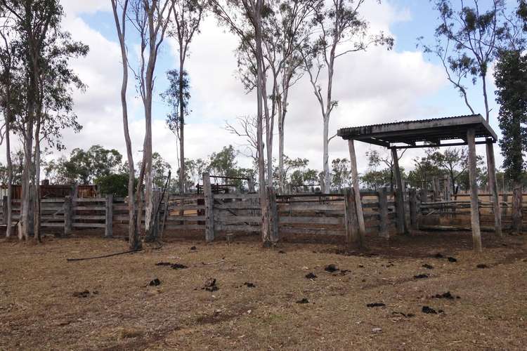 Seventh view of Homely livestock listing, 2107 South Ulam Road, Bajool QLD 4699