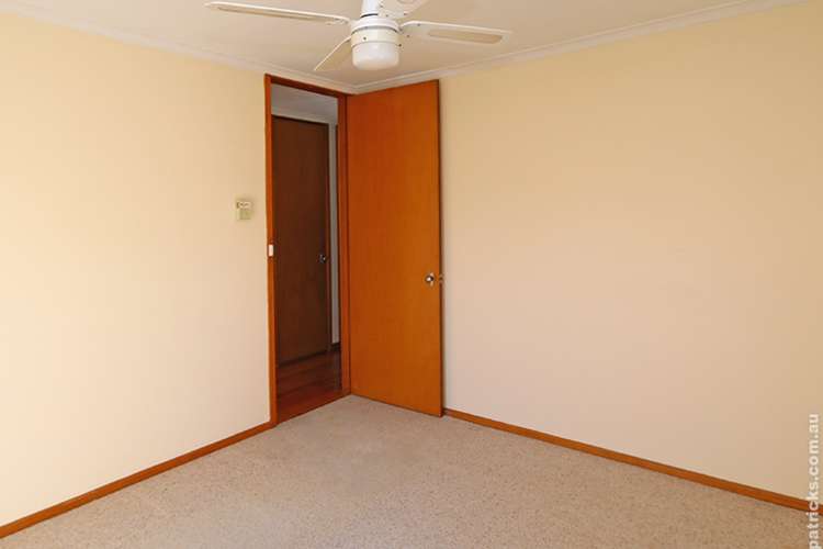 Seventh view of Homely house listing, 3 Moxham Street, Ashmont NSW 2650