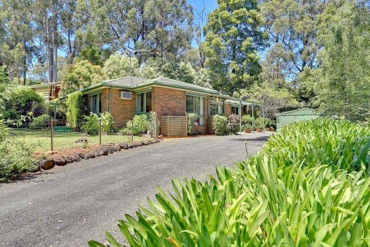 Main view of Homely house listing, 11 Wright Road, Avonsleigh VIC 3782