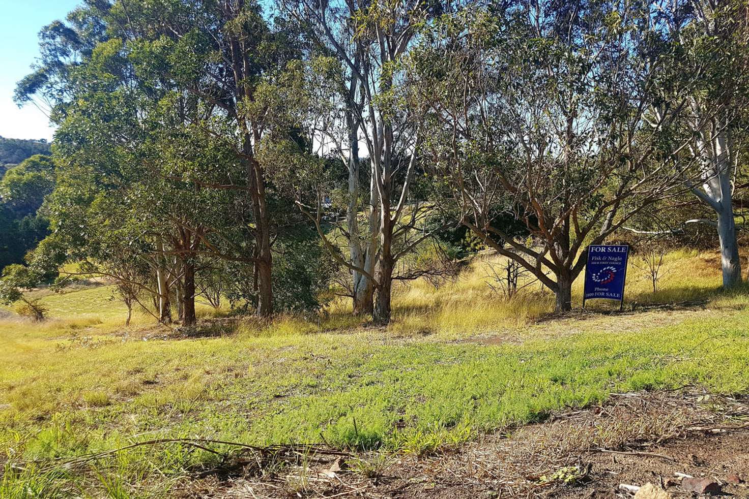 Main view of Homely residentialLand listing, 1 Elton Street, Candelo NSW 2550