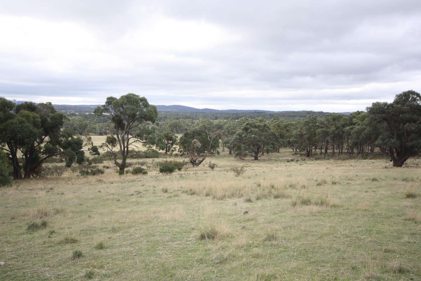 Main view of Homely residentialLand listing, 4 lots Western Highway, Beaufort VIC 3373