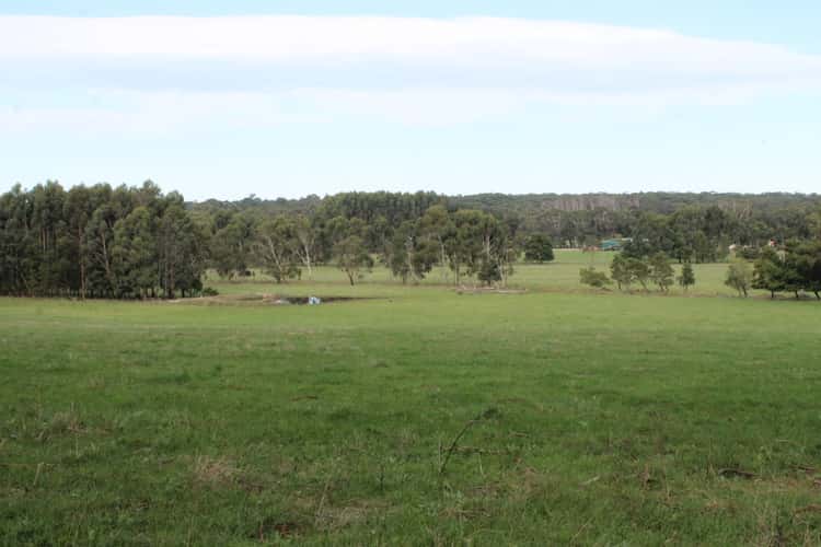Main view of Homely livestock listing, 245 Wilsons Road, Barongarook VIC 3249