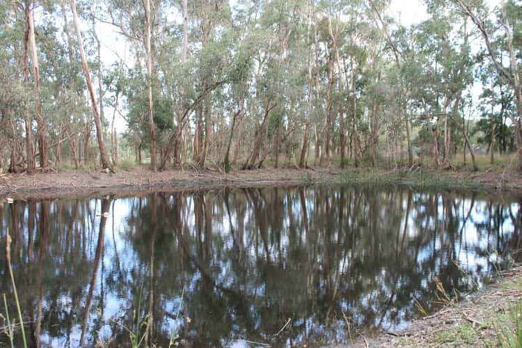 Second view of Homely livestock listing, 245 Wilsons Road, Barongarook VIC 3249