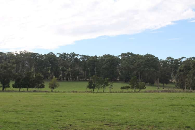 Fourth view of Homely livestock listing, 245 Wilsons Road, Barongarook VIC 3249