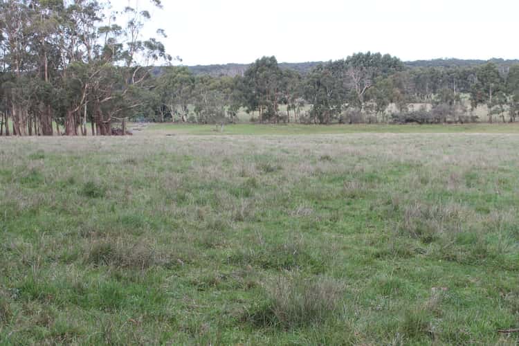 Fifth view of Homely livestock listing, 245 Wilsons Road, Barongarook VIC 3249