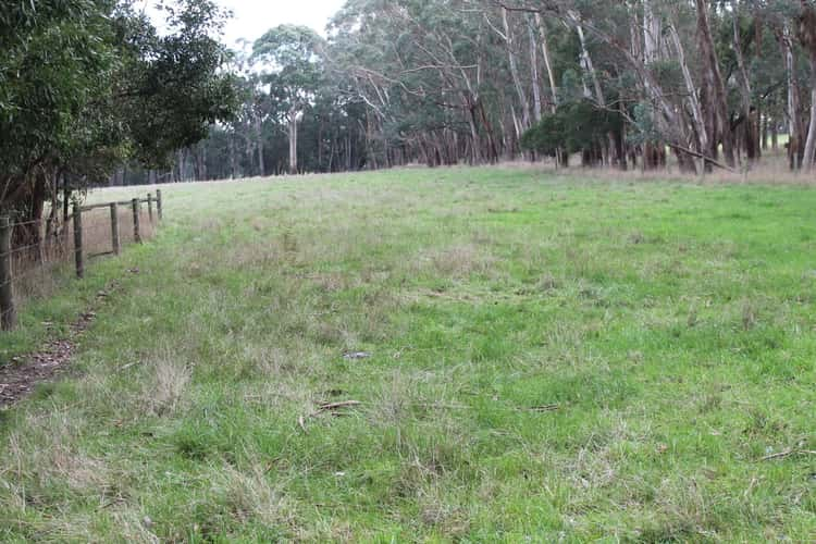 Seventh view of Homely livestock listing, 245 Wilsons Road, Barongarook VIC 3249