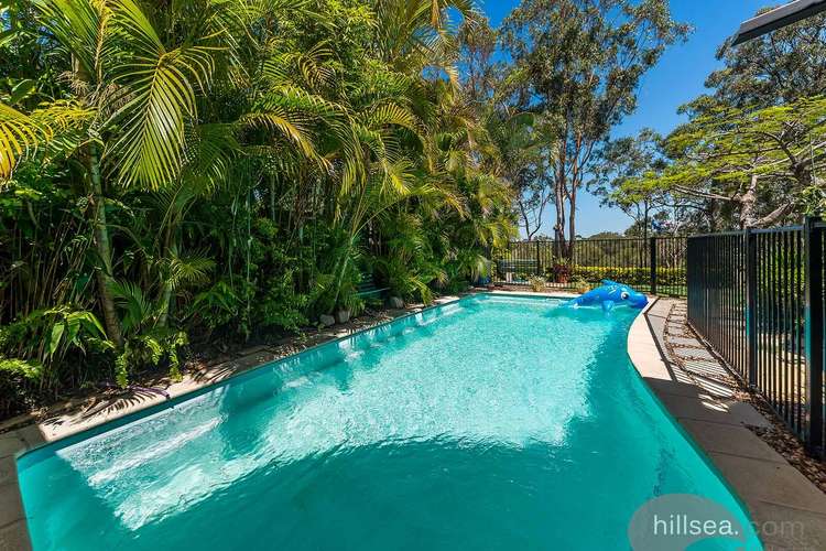 Fifth view of Homely house listing, 14 Collingwood Court, Arundel QLD 4214