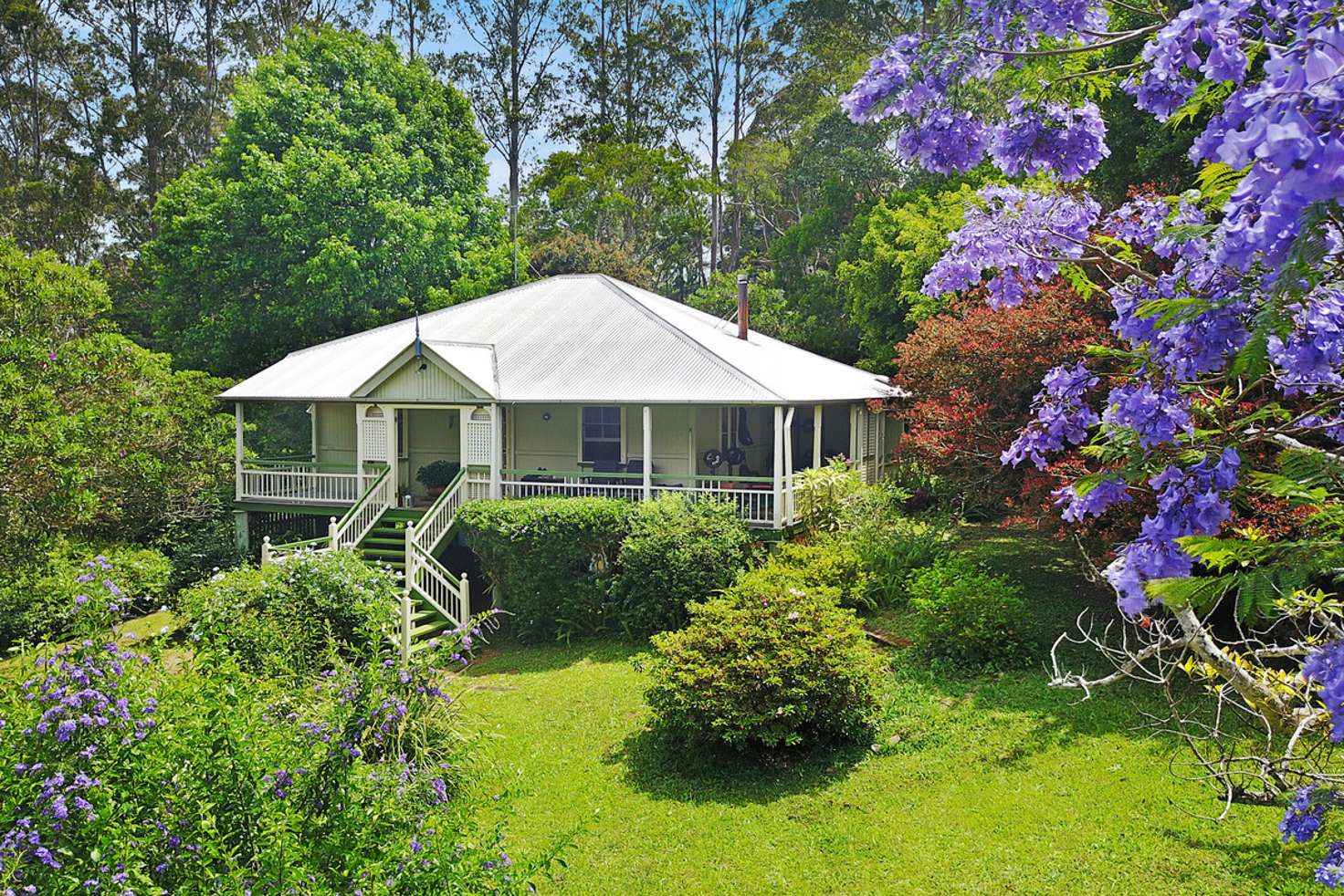 Main view of Homely house listing, 12 Burgess Avenue, Maleny QLD 4552