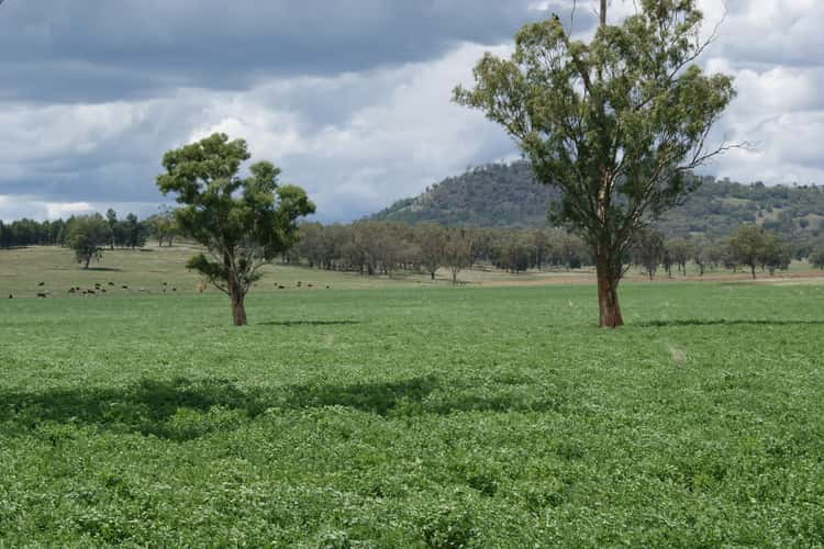 Tongues Road, Quirindi NSW 2343