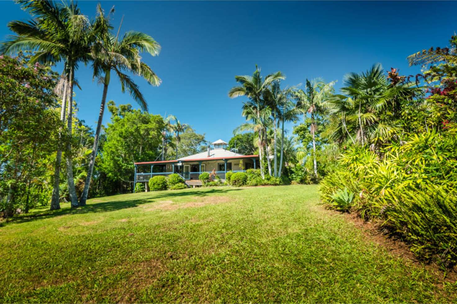 Main view of Homely house listing, 299 Promised Land Road, Bellingen NSW 2454