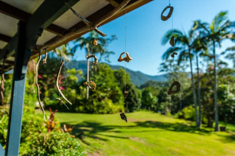 Fifth view of Homely house listing, 299 Promised Land Road, Bellingen NSW 2454