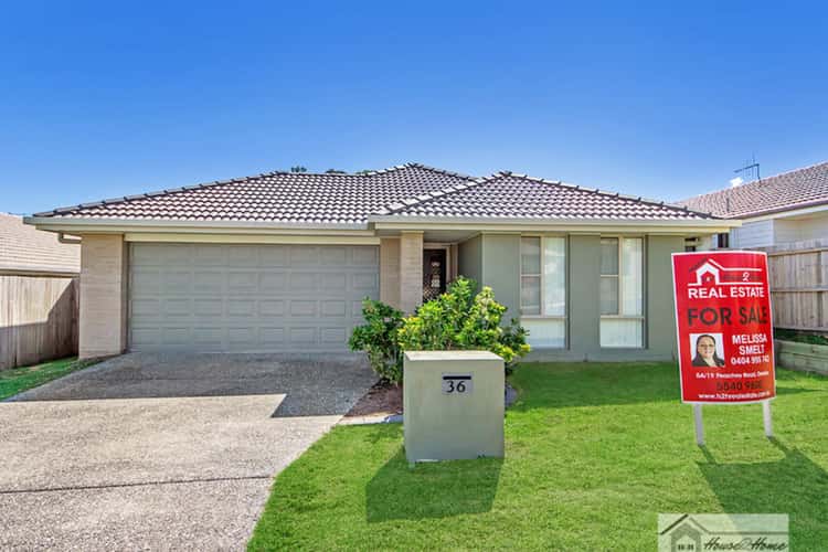 Main view of Homely house listing, 36 Banks Drive, Ormeau QLD 4208