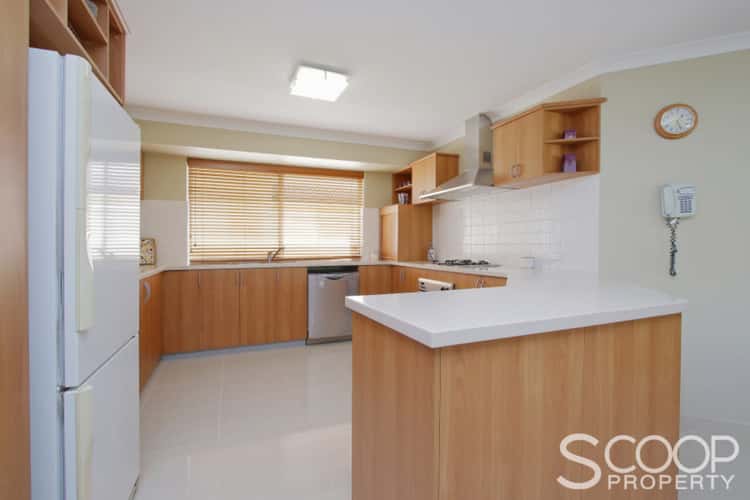 Seventh view of Homely house listing, 24 Forillion Avenue, Bibra Lake WA 6163