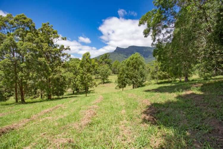 Third view of Homely acreageSemiRural listing, 146 Everinghams Road, Pumpenbil, Tyalgum NSW 2484