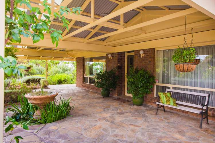 Second view of Homely acreageSemiRural listing, 69 Penmarric Lane, Boston SA 5607
