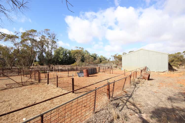 Second view of Homely cropping listing, 269 Jock Barrett Road, Cadell SA 5321