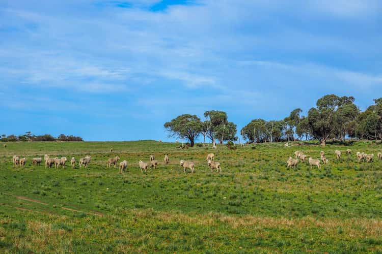 Second view of Homely cropping listing, Section 471 Flinders Highway, Coomunga SA 5607