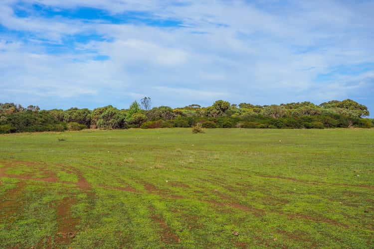 Sixth view of Homely cropping listing, Section 471 Flinders Highway, Coomunga SA 5607