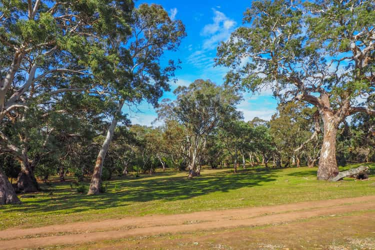 Seventh view of Homely cropping listing, Section 471 Flinders Highway, Coomunga SA 5607