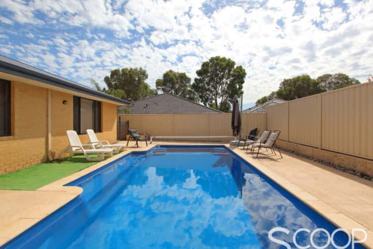 Main view of Homely house listing, 11 Edgecumbe Terrace, Baldivis WA 6171