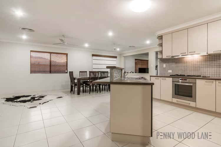 Third view of Homely house listing, 19 Sunita Drive, Andergrove QLD 4740