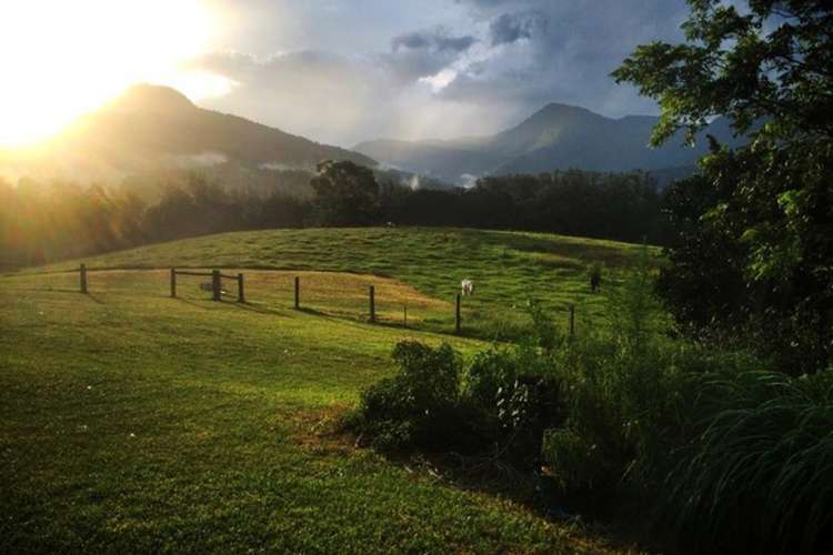 Second view of Homely acreageSemiRural listing, 48 John Locke Place, Bellingen NSW 2454