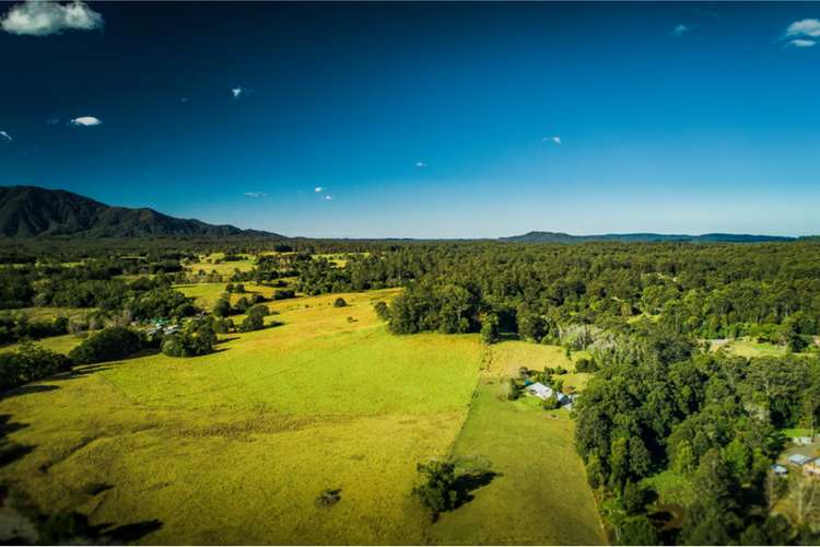 Seventh view of Homely acreageSemiRural listing, 48 John Locke Place, Bellingen NSW 2454