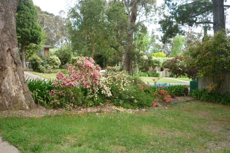 Second view of Homely house listing, 43 Lawrence Street, Blackheath NSW 2785