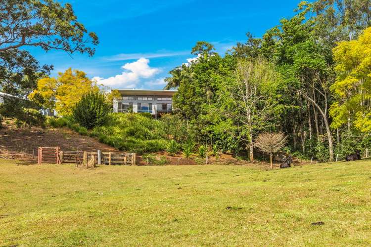 Fourth view of Homely acreageSemiRural listing, 281 Tyalgum Creek Road, Tyalgum NSW 2484