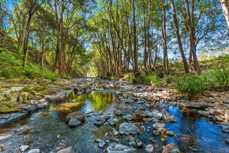 Sixth view of Homely acreageSemiRural listing, 281 Tyalgum Creek Road, Tyalgum NSW 2484