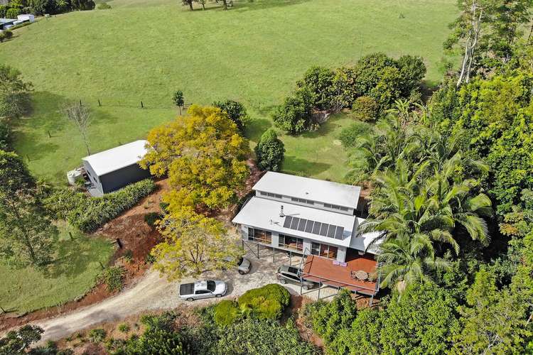 Seventh view of Homely acreageSemiRural listing, 281 Tyalgum Creek Road, Tyalgum NSW 2484