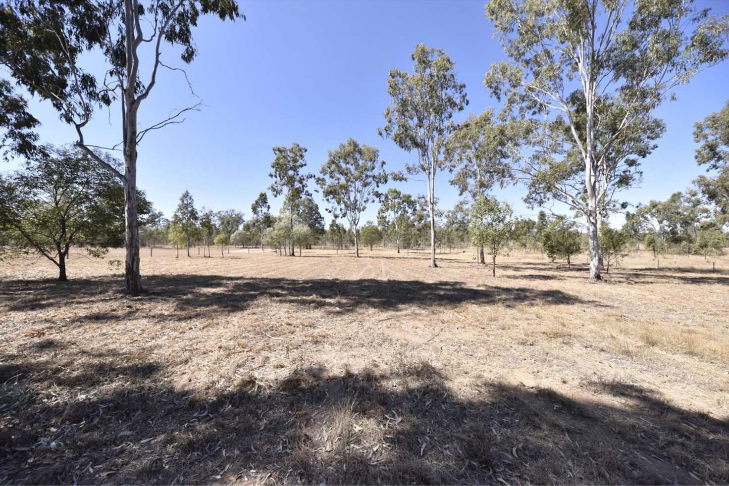 Main view of Homely residentialLand listing, LOT 20 Forestry Road, Adare QLD 4343
