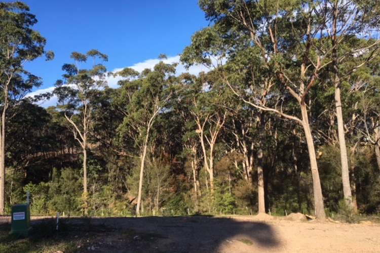 Fourth view of Homely residentialLand listing, LOT 205 Mulloway Circuit, Merimbula NSW 2548