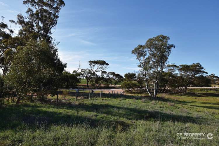 Third view of Homely residentialLand listing, LOT 189 Eichler Road, Punthari, Mannum SA 5238