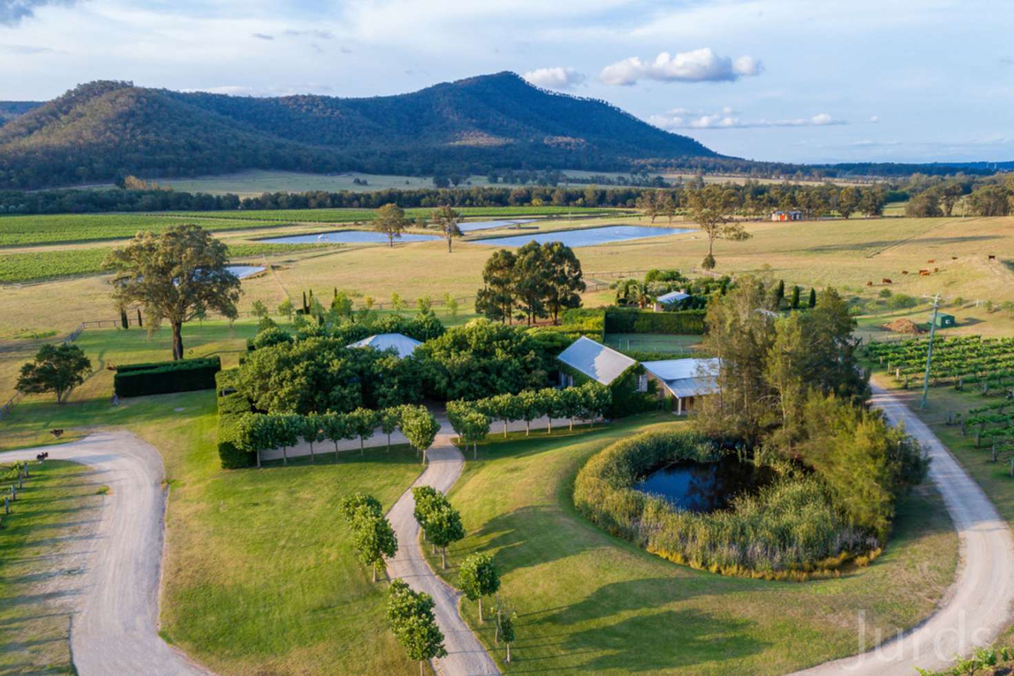 Main view of Homely viticulture listing, 712 Wollombi Road, Broke NSW 2330