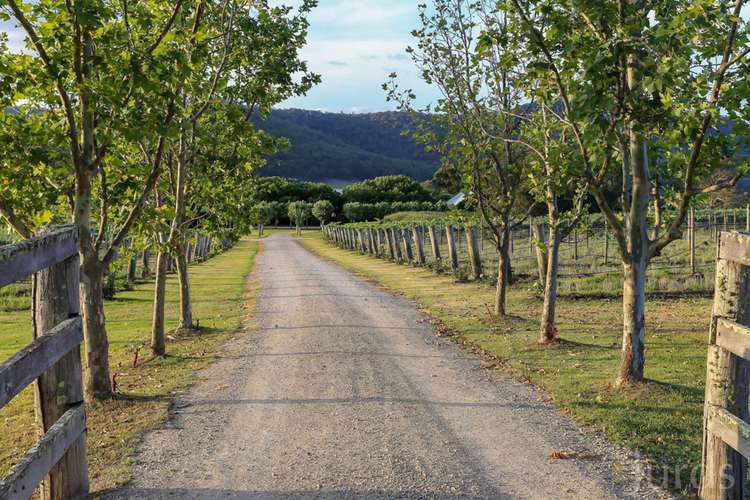 Second view of Homely viticulture listing, 712 Wollombi Road, Broke NSW 2330