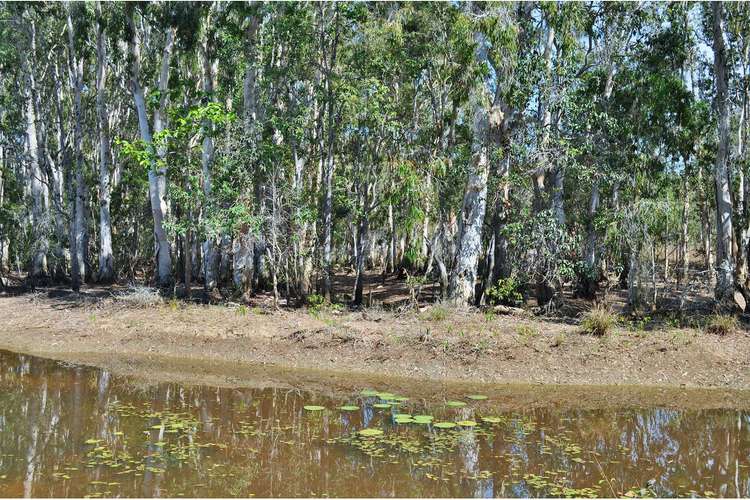 LOT 6 Annie Court, Mareeba QLD 4880