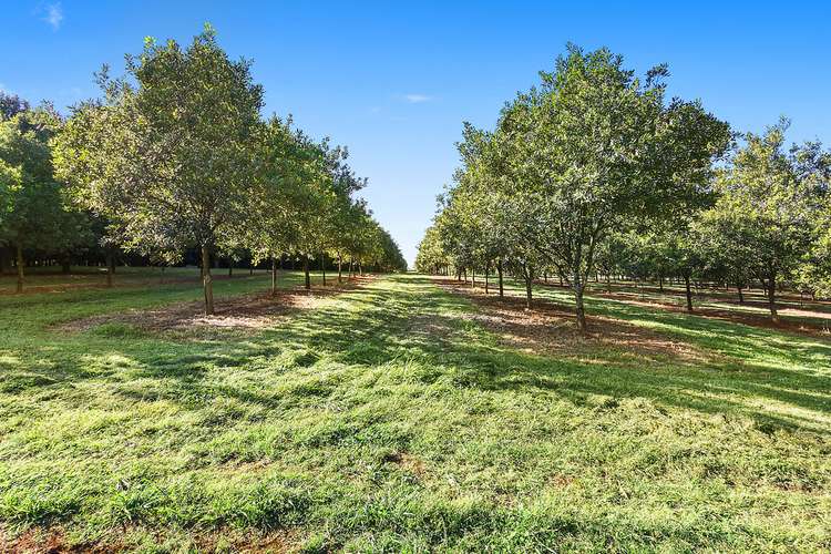 Sixth view of Homely acreageSemiRural listing, 39 Grays Lane, Alstonville NSW 2477