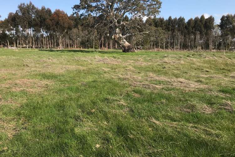 LOT 4, 136 Recreation Road, Dunkeld VIC 3294