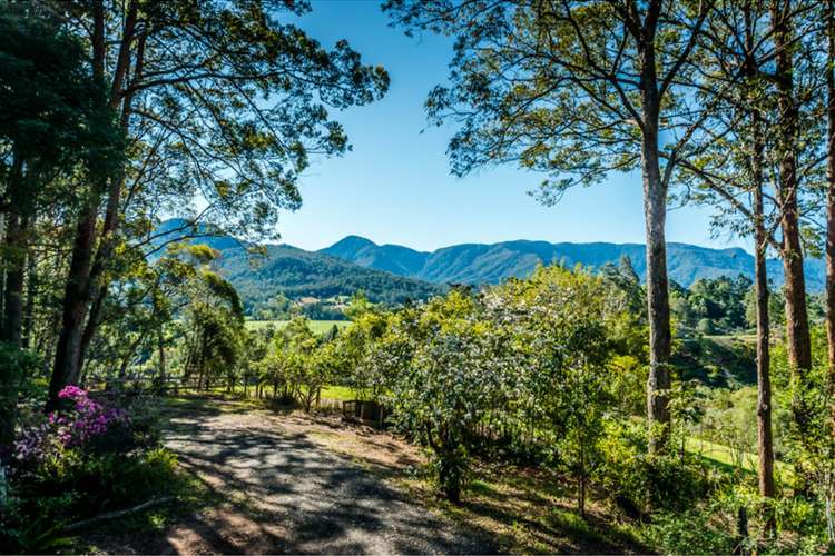 Third view of Homely acreageSemiRural listing, 309 Roses Road, Bellingen NSW 2454