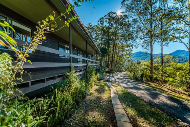 Fourth view of Homely acreageSemiRural listing, 309 Roses Road, Bellingen NSW 2454