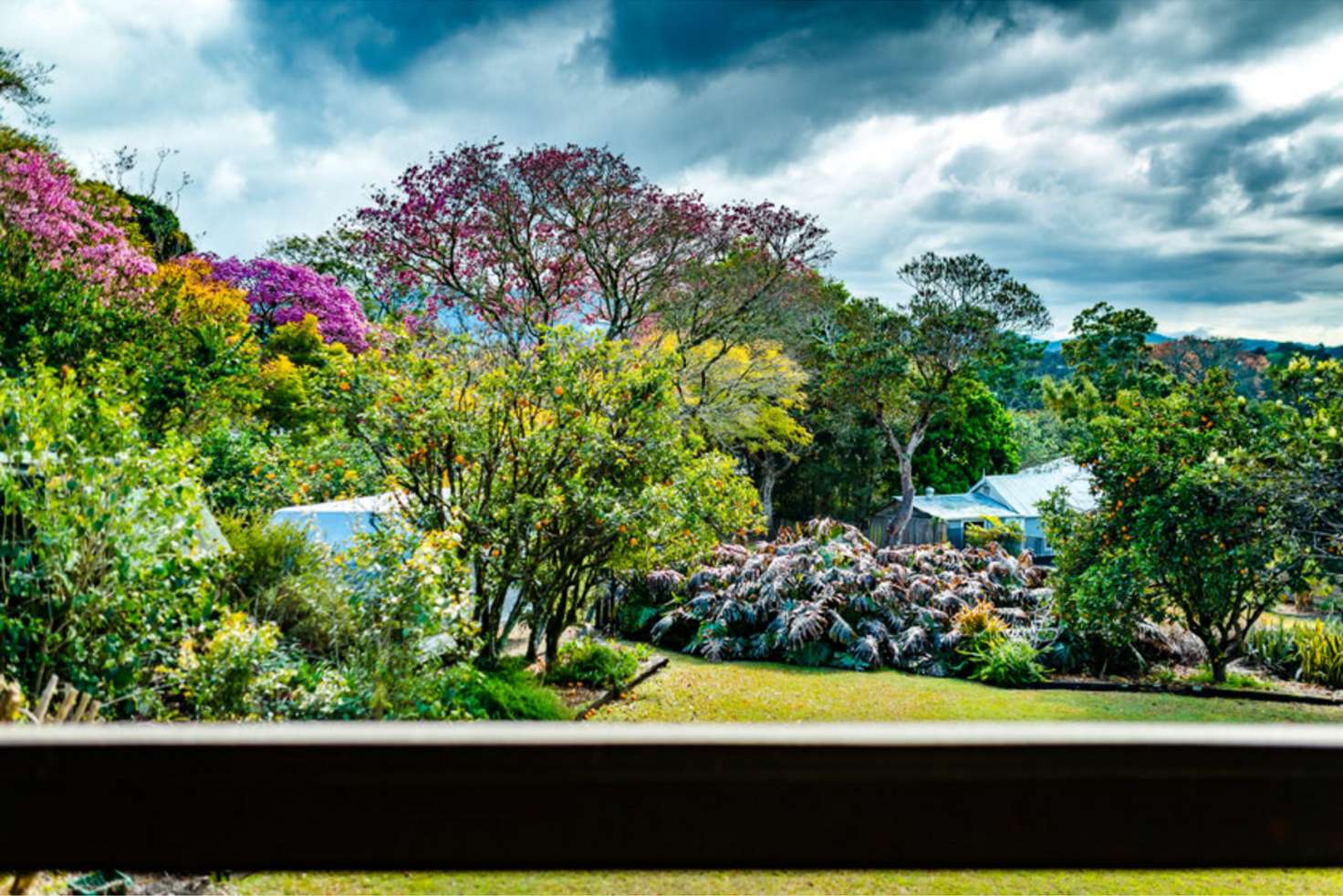 Main view of Homely house listing, 27 Robert Street, Bellingen NSW 2454