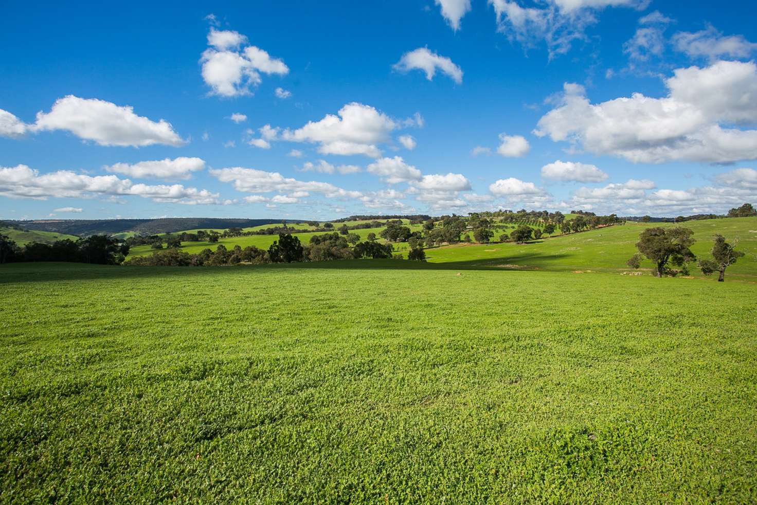 Main view of Homely house listing, 87 Alawoona Circle, Bullsbrook WA 6084