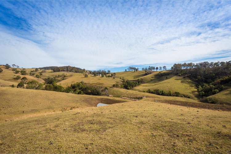 Fifth view of Homely residentialLand listing, LOT B Woodlands Lane, Bald Hills NSW 2549