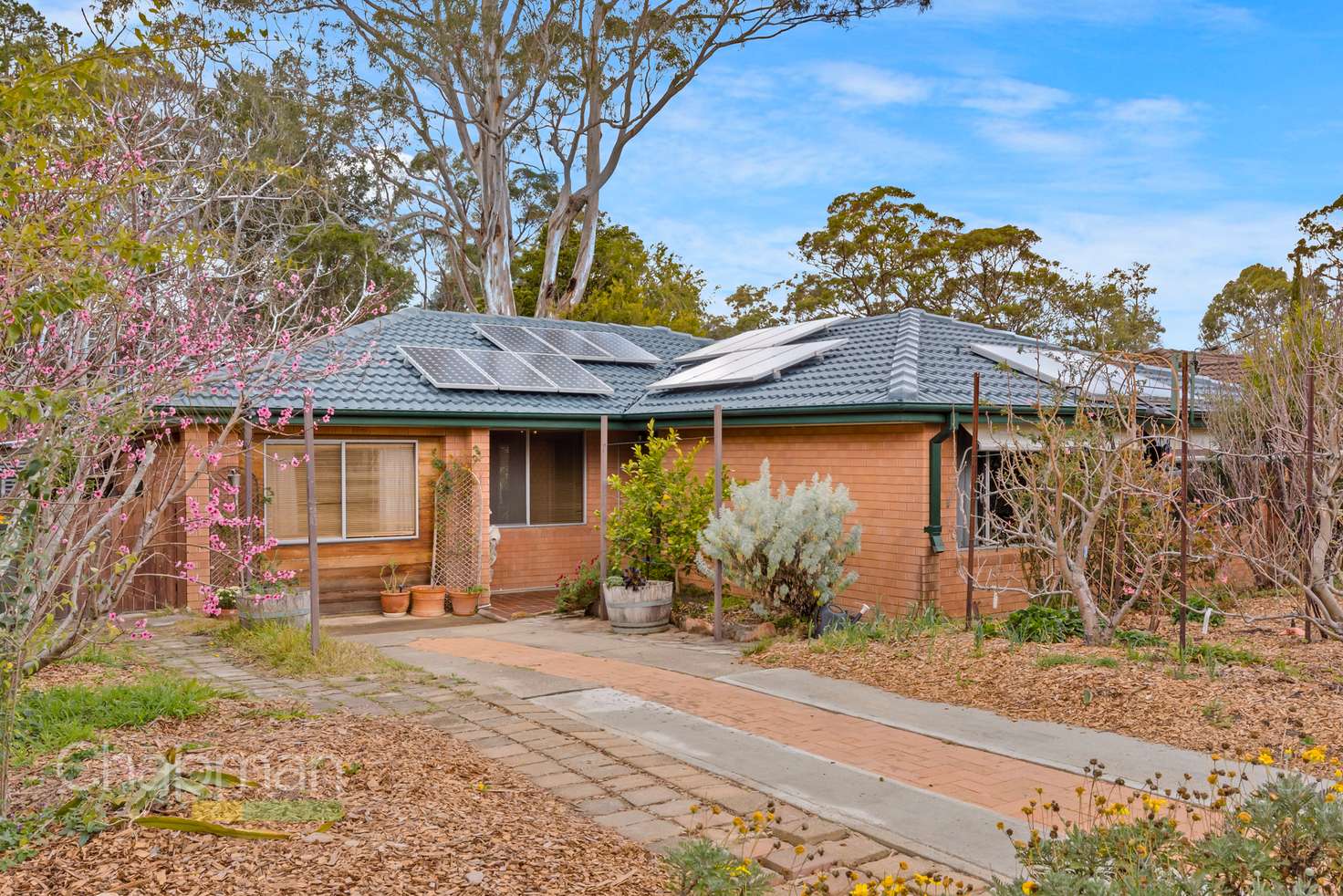 Main view of Homely house listing, 102 Burns Road, Springwood NSW 2777