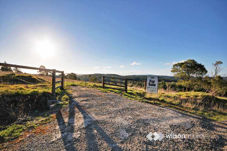 Main view of Homely residentialLand listing, 39 Deys Road, Tyers VIC 3844