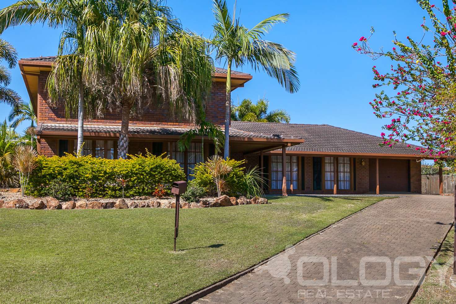 Main view of Homely house listing, 4 Bird Court, Frenchville QLD 4701